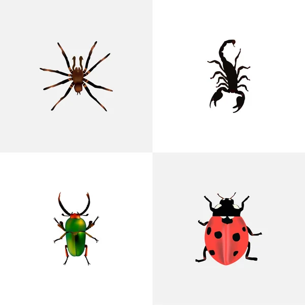 Conjunto de símbolos realistas de insectos con escarabajo, mariquita, tarántula y otros iconos para el diseño del logotipo de su aplicación móvil web . — Archivo Imágenes Vectoriales