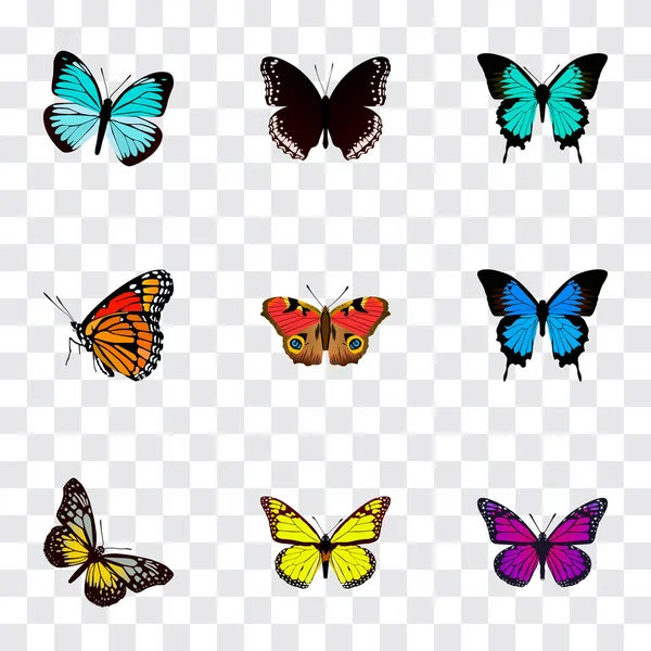 Conjunto de símbolos realistas de mariposa con precis almana, alitas, demophoon y otros iconos para el diseño del logotipo de su aplicación móvil web . —  Fotos de Stock