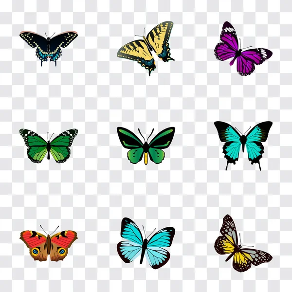 Conjunto de símbolos realistas de mariposa con mosca de belleza, cola de golondrina de tigre, precis almana y otros iconos para el diseño del logotipo de su aplicación móvil web . — Archivo Imágenes Vectoriales