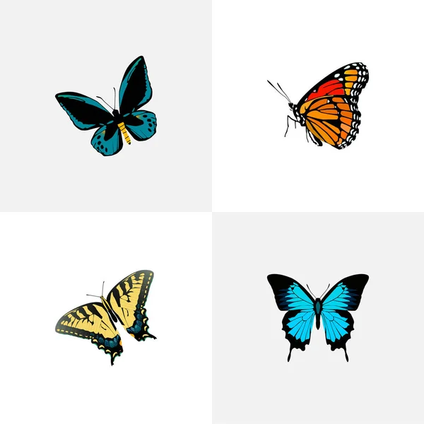 Set dari simbol-simbol moth realistis dengan gambar wanita, lexias, tiger swallowtail dan ikon lainnya untuk desain logo aplikasi mobile web Anda . - Stok Vektor