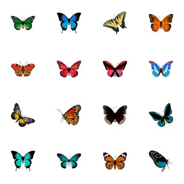 Hairstreak, boyalı Bayan, biçim aega güve gerçekçi simgeler ve diğer simgeler web mobil app logo tasarımı için.