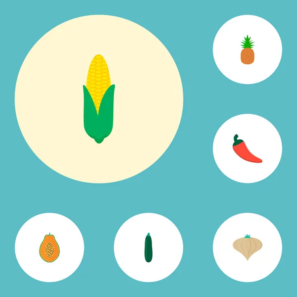 Conjunto de iconos de frutas símbolos de estilo plano con pepino, chile, maíz y otros iconos para el diseño del logotipo de su aplicación móvil web . — Vector de stock