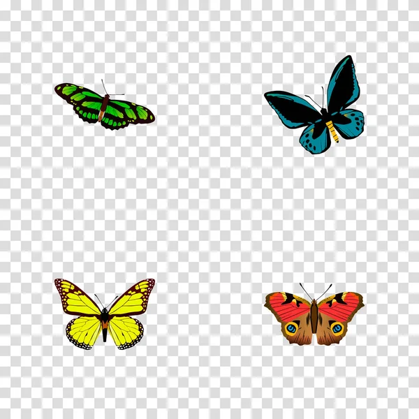 Set dari simbol realistik ngengat dengan lexias, precis almana, birdwing dan ikon lainnya untuk desain logo aplikasi mobile web Anda . - Stok Vektor