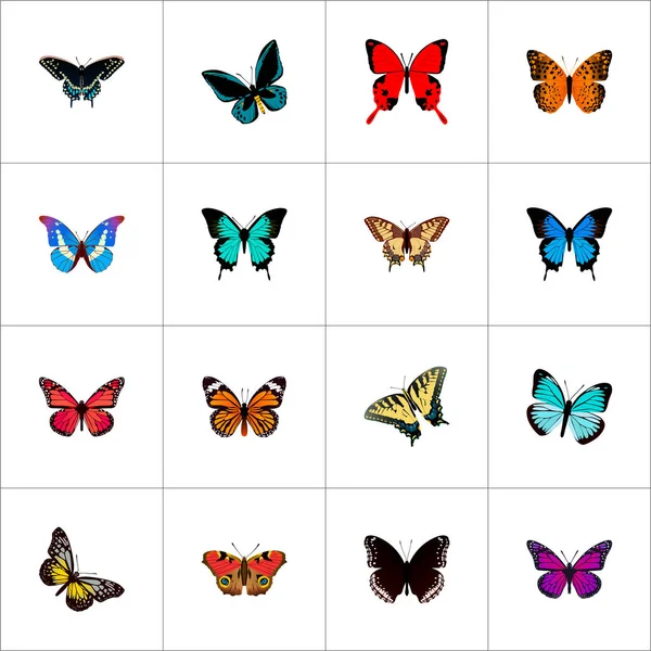 Conjunto de símbolos realistas de mariposa con iconos de polyommatus icarus, ala violeta, ala rosa y otros iconos para el diseño del logotipo de su aplicación móvil web . — Vector de stock