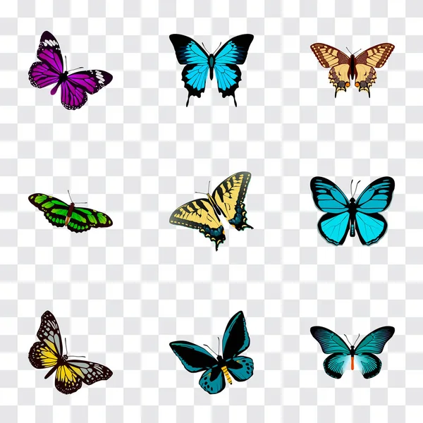 Set von realistischen Schönheitssymbolen mit Papilio-Ulysses, Lexien, tailed-blue und anderen Symbolen für das Design Ihres Web-App-Logos. — Stockfoto