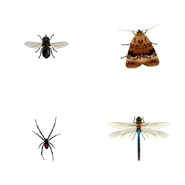 Ensemble de symboles réalistes de bug avec libellule, papillon de nuit, araignée et autres icônes pour la conception de logo de votre application mobile web . — Photo