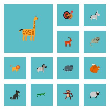 Hayvan simgeler düz stil sembollerle köpek, gecko, maymun ve diğer simgeler web mobil app logo tasarımı için kümesi.