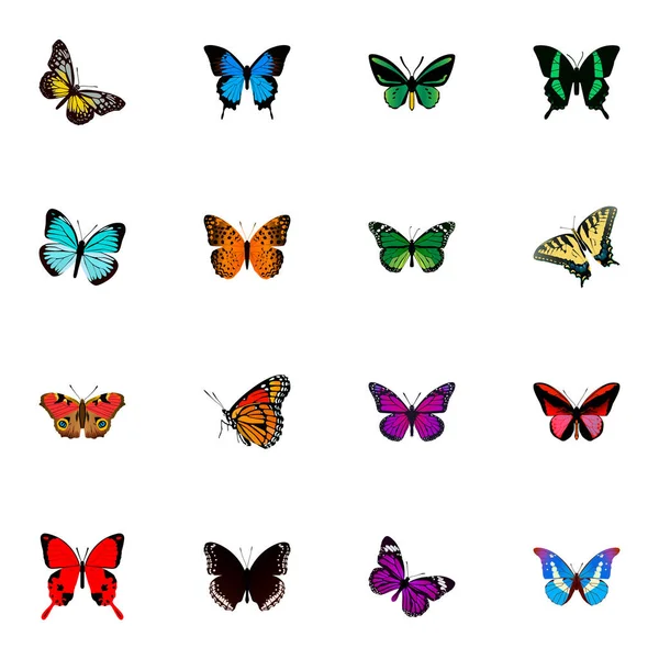 Set of butterfly realistic symbols with agrias claudina, precis almana, monarch and other icons for your web mobile app logo design. — Stock Vector