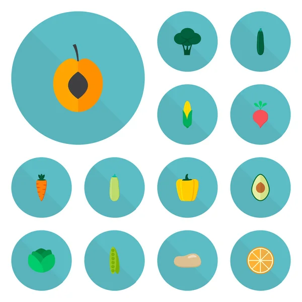 옥수수, 브로콜리, 아보카도와 귀하의 웹 모바일 애플 리 케이 션 로고 디자인에 대 한 다른 아이콘 아이콘 평면 스타일 기호 집합. — 스톡 벡터