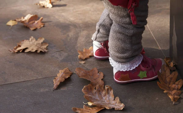 Little legs in socks with lace in pink boots. Concept photo - first steps, training, life ahead