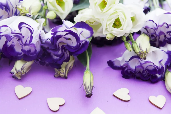 Eustoma lila-blanco con fondo lila y corazones —  Fotos de Stock