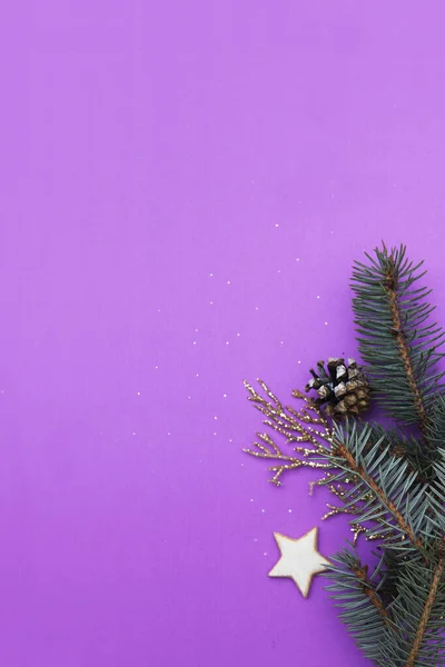 Sfondo lilla di Natale con rami di abete e arredamento. Copia spa — Foto Stock