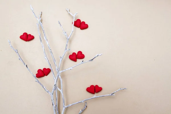 心の赤いペアを持つ白い枝。夫婦の概念 — ストック写真