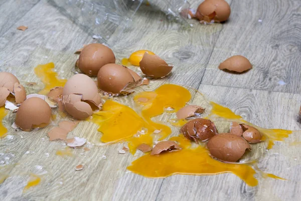 broken spilled eggs with yolks and squirrels on the floor