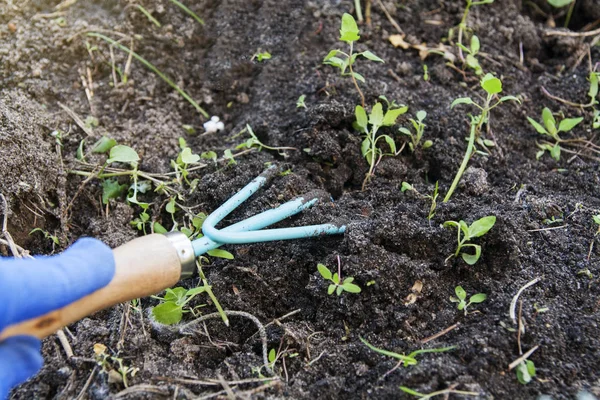 Elleri kapalı bir bahçe aleti toprağa gömülmüş. Toprak kabartma — Stok fotoğraf