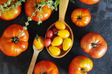 Koyu beton arkaplanda taze domatesler.