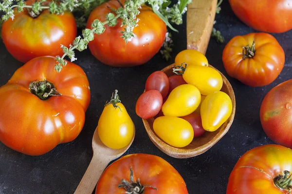Fresh tomatoes on a dark concrete background — Stock Photo, Image