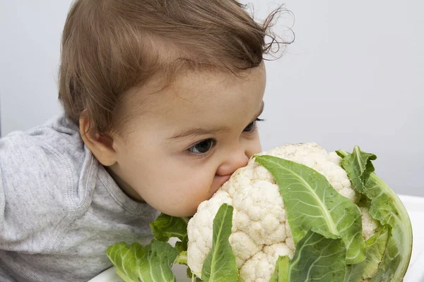 赤ん坊はカリフラワーを噛もうとしている。食事、適切な栄養の概念. — ストック写真