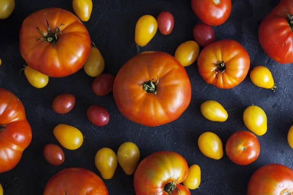 Koyu arkaplanda sarı ve kırmızı domatesler — Stok fotoğraf