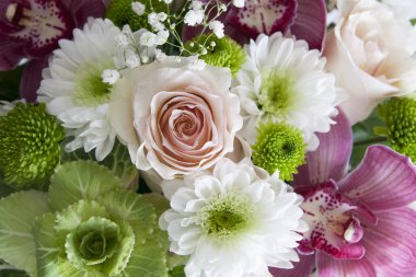 Yakından bir buket çiçeğin üst görüntüsü. Çiçek arkaplan, fon