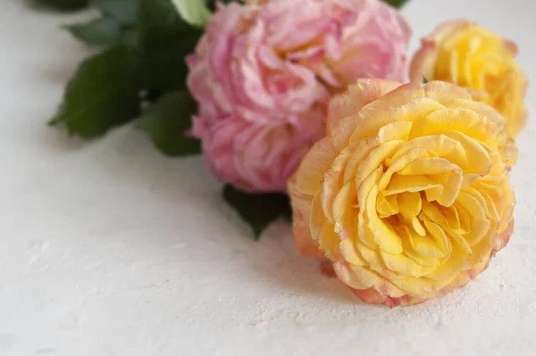 Rosas Rosadas Amarillas Mesa Copiar Espacio —  Fotos de Stock