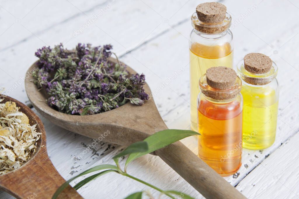 Essences in glass bottles with dry herbs on a wooden table. Alternative medicine concept.