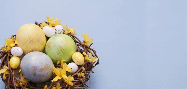 Nest Met Gekleurde Eieren Met Bloemen Blauwe Achtergrond Kopieer Ruimte — Stockfoto