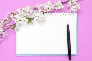 Kalemle dolu boş defter kağıdı ve pembe arka planda beyaz çiçekli çiçek dalları. İlkbahar metinleriniz için maket yapın