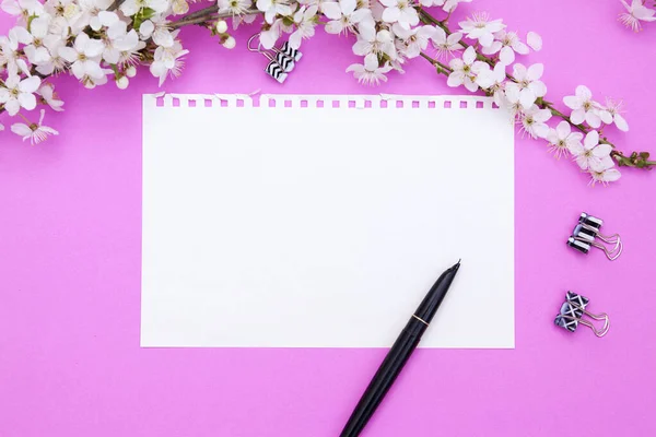 Blank sheet of notepad with copy space. Nearby an ink pen, binders, a branch of flowers on a pink background. Spring mock up for your texts.