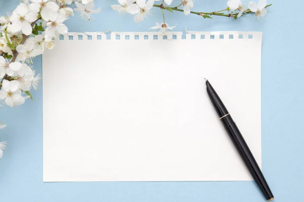 Blank sheet of notepad with copy space. Nearby an ink pen, binders, a branch of flowers on a blue background. Spring concept for your texts.