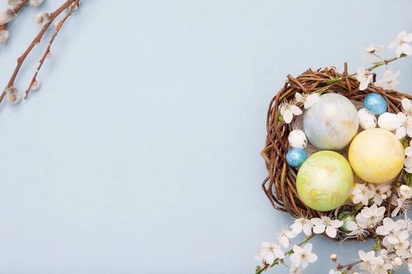 Top View Easter Eggs Nest Willow Blue Background Blossom Flowers — Stock Photo, Image