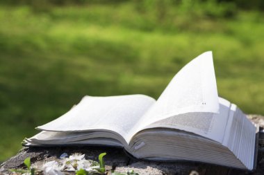 Yeşil bahar arka planında İncil 'i aç. Metnin veya alıntın için boşluk kopyala.