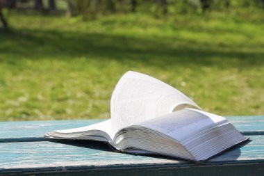 Yeşil doğanın arka planında güneş ışığında incili aç