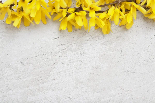 Textura Stucco Com Raminhos Flores Amarelas Primavera Preparem Para Vosso — Fotografia de Stock