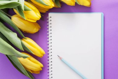 Boş not defteri kağıdı, kalem ve mor arka planda sarı laleler. Metnin için boşluk kopyala