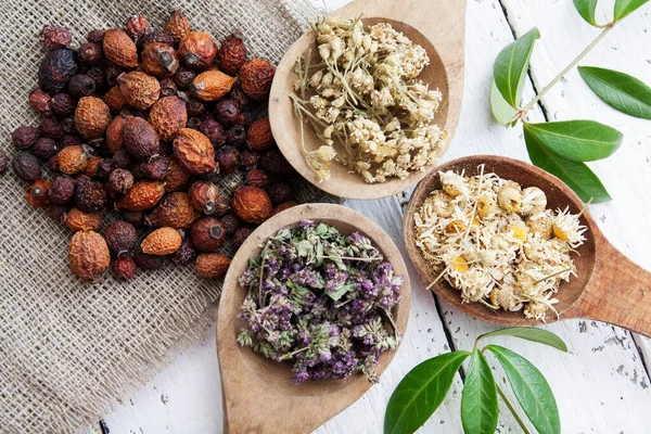 Erbe Secche Cucchiai Legno Rosa Canina Essiccati Preparare Tisane Infusi — Foto Stock