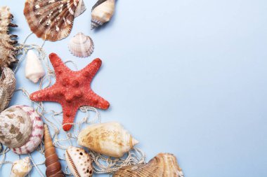 Deniz yıldızının üst görüntüsü, deniz kabukları mavi arkaplandaki bir balıkçı ağıyla mayın tarlası. Yaz, deniz, tatil geçmişi