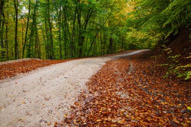 dağlarda geçen sonbahar yol