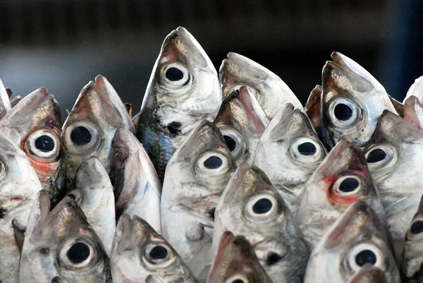 Markette Taze Balık Gösteriliyor — Stok fotoğraf