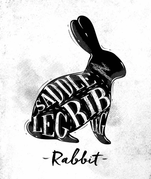 Schéma řezu králík — Stockový vektor