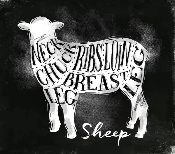 Sheep lamb cutting scheme chalk — Stock Vector