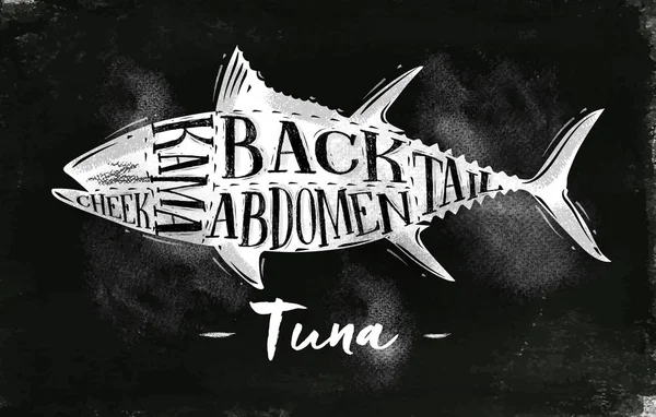 Kreda schemat cięcia tuńczyka — Wektor stockowy