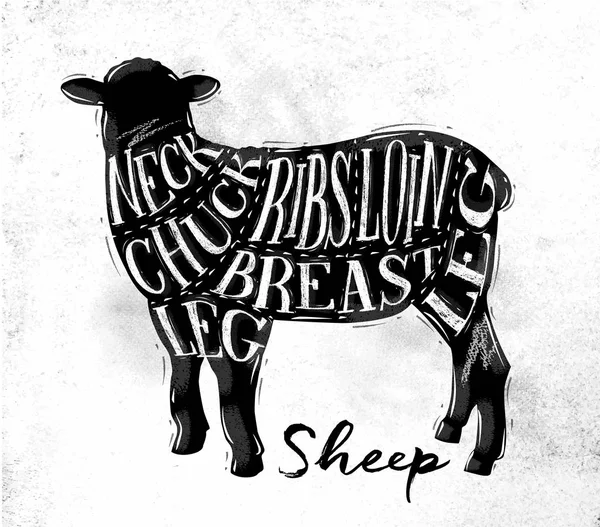 Sheep lamb cutting scheme — Stock Illustration Sheep lamb cutting scheme Stock Vector
