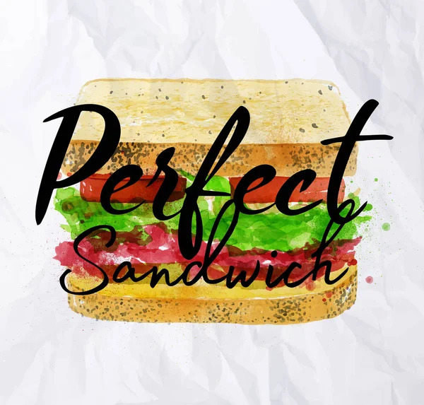 完璧なサンドイッチ水彩画 — ストックベクタ