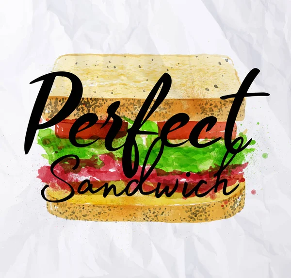 Perfecte sandwich aquarel — Stockvector