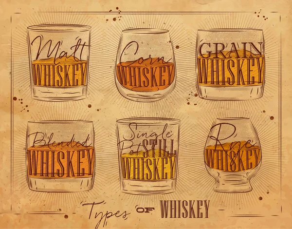 Tipi di poster mestiere whisky — Vettoriale Stock