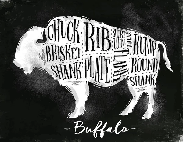 Schéma de coupe Buffalo craie — Image vectorielle