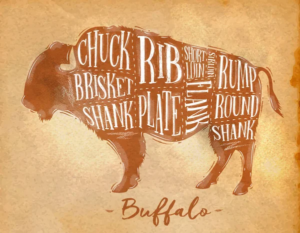Plan de coupe Buffalo artisanat — Image vectorielle