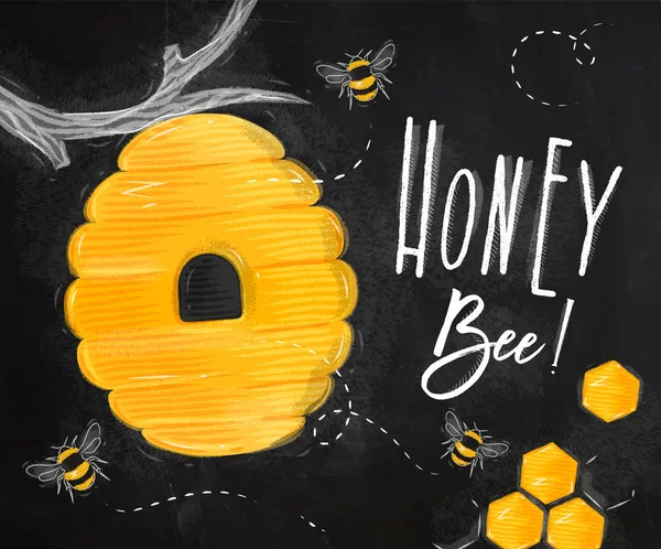 Plakát honey bee křída — Stockový vektor