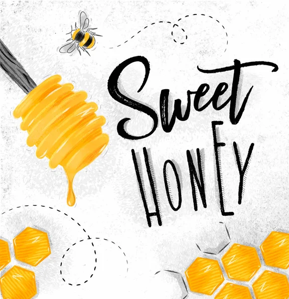 Plakát sladký med — Stockový vektor